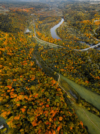 Aerial view of the Gauja River winding through the dense colorful autumn forests of the Gauja Valley in Sigulda Sigulda Municipality Latvia. Aerial view of the Gauja River winding through the dense colorful autumn forests of the Gauja Valley in Sigulda Sigulda Municipality Latvia.