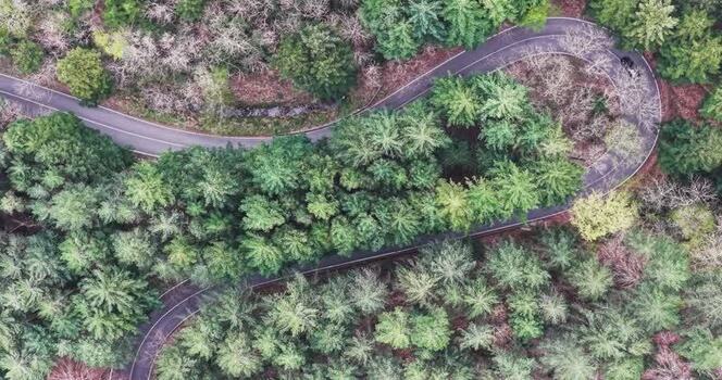 Aerial view of a winding road through a dense forest Italy. Aerial view of a winding road through a dense forest Italy.