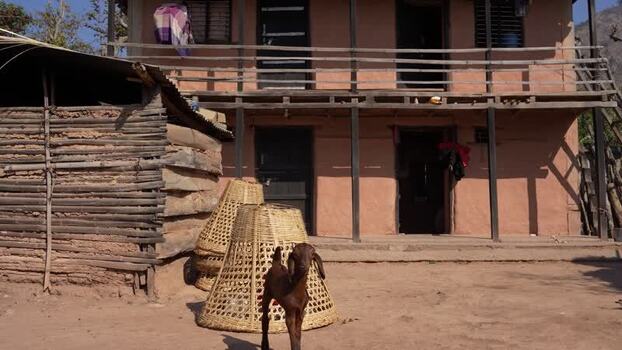 View of a traditional rural house and a goat Nepal.