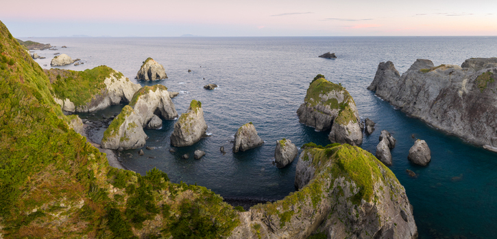 Aerial view of the rugged coastline featuring dramatic sea stacks and lush green cliffs overlooking the calm blue ocean at dusk Izu Shizuoka Japan. Aerial view of the rugged coastline featuring dramatic sea stacks and lush green cliffs overlooking the calm blue ocean at dusk Izu Shizuoka Japan.