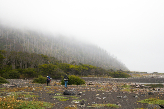View of two hikers with backpacks walking along the rugged dark sand beach of the Lost Coast under a thick layer of fog and mist in Humboldt County California United States.