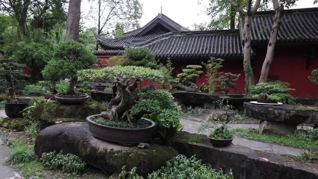 View of bonsai garden at Wuhou Temple in Chengdu China. View of bonsai garden at Wuhou Temple in Chengdu China.