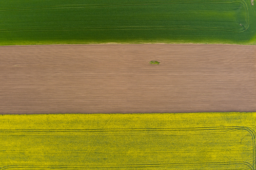 Aerial view of over Bulgarian Lavender fields in summer time