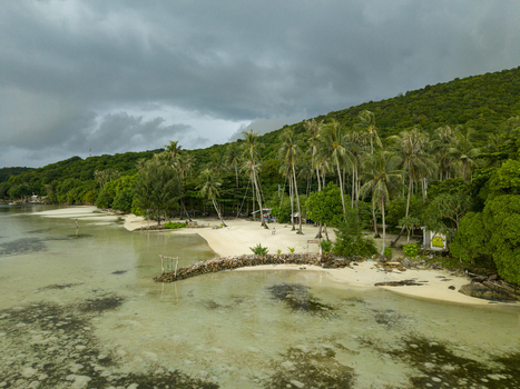 Aerial view of the contrasting turquoise waters meeting the white sandy beach fringed with vibrant green palm trees under a stormy sky Karimunjawa Jawa Tengah Indonesia.