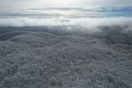 Aerial view of frost covered trees in the Appalachian Mountains under a cloudy sky in Wise County Virginia United States.