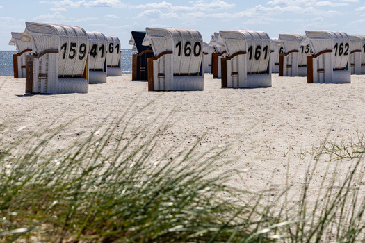 View of numbered white wicker beach chairs on the sandy shore of Strand Schillig under a bright sky Wangerland Niedersachsen Germany. View of numbered white wicker beach chairs on the sandy shore of Strand Schillig under a bright sky Wangerland Niedersachsen Germany.