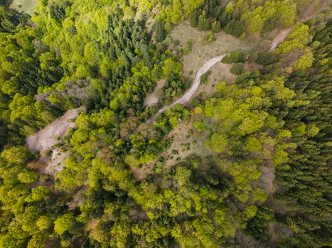 Aerial view of the Maria Mine Spoil Heap surrounded by a dense green forest and a winding dirt path in Spania Dolina Banska Bystrica Region Slovakia. Aerial view of the Maria Mine Spoil Heap surrounded by a dense green forest and a winding dirt path in Spania Dolina Banska Bystrica Region Slovakia.