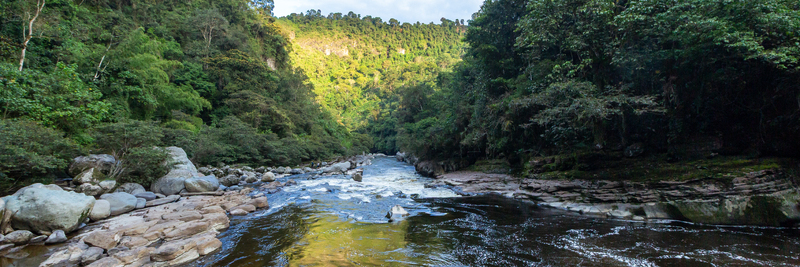 View of Estrecho del Rio Magdalena a narrow river gorge surrounded by lush tropical forest and rocky banks in San Agustin Huila Colombia.