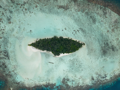 Aerial view of a small island covered in lush green trees surrounded by turquoise waters and white sandy beaches Karimunjawa Central Java Indonesia.