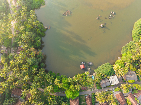 Aerial view of lush palm trees bordering a calm lake with small houses and a winding road Galle Southern Province Sri Lanka.