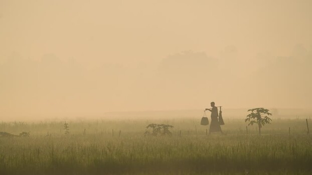 View of a farmer walking in a misty field Bangladesh. View of a farmer walking in a misty field Bangladesh.