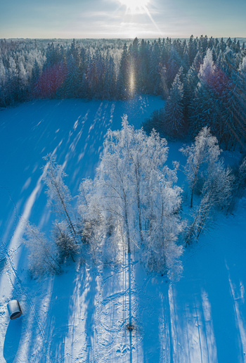 Aerial view of a snow covered forest landscape with frost covered trees casting long shadows under bright winter sunlight in Latvia. Aerial view of a snow covered forest landscape with frost covered trees casting long shadows under bright winter sunlight in Latvia.
