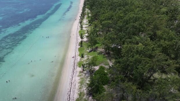 Aerial view of Belle Mare Beach in Mauritius.