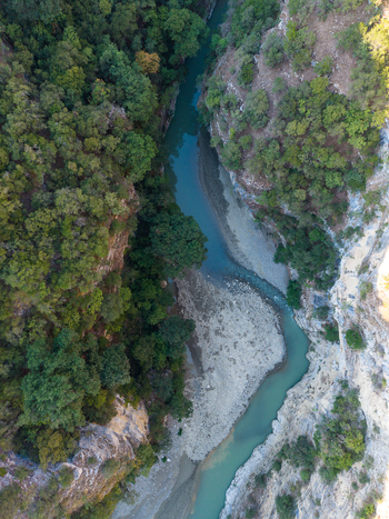 Aerial view of Osumi Canyon with a winding river flowing through deep rocky cliffs and lush green forests in Dhores Berat County Albania.