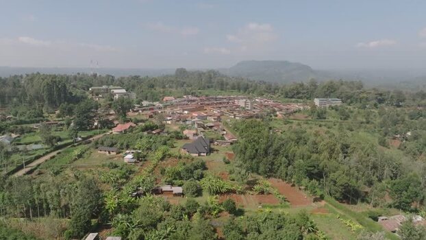 Aerial view of buildings and lush trees Kenya.