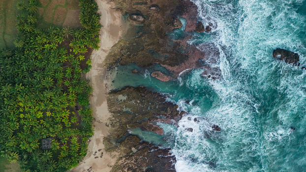Aerial view of a tropical beach with lush palm trees rugged rocky coastline and turquoise ocean waves crashing against the shore Indonesia.