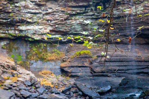 View of rugged layered rock face adorned with vibrant green moss and delicate foliage a serene contrast of textures and colors Arkansas United States. View of rugged layered rock face adorned with vibrant green moss and delicate foliage a serene contrast of textures and colors Arkansas United States.