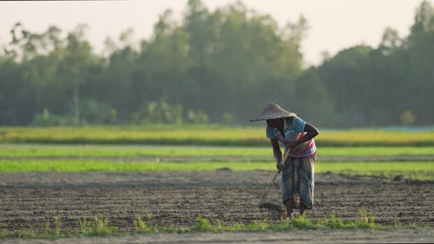 View of a farmer tilling soil in a rural field Bangladesh. View of a farmer tilling soil in a rural field Bangladesh.