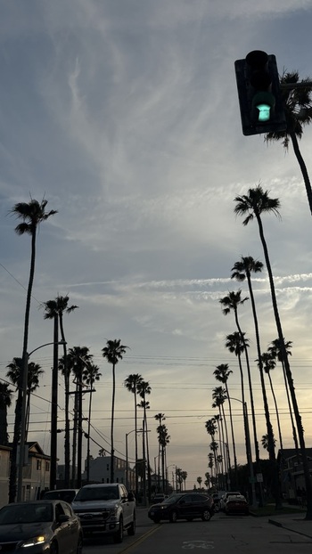View of a street lined with tall palm trees and cars under a wispy sky at dusk in Oceanside California United States. View of a street lined with tall palm trees and cars under a wispy sky at dusk in Oceanside California United States.