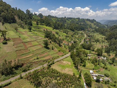 Aerial view of a road winding through lush green hillsides and cultivated terraces under a bright sky Nyeri Nyeri Kenya. Aerial view of a road winding through lush green hillsides and cultivated terraces under a bright sky Nyeri Nyeri Kenya.