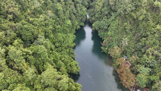 Aerial view of a winding river flowing through a dense tropical forest with lush green canopy and calm dark water in Pangandaran Regency West Java Indonesia. Aerial view of a winding river flowing through a dense tropical forest with lush green canopy and calm dark water in Pangandaran Regency West Java Indonesia.