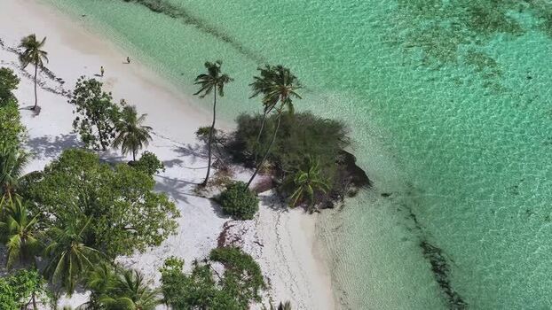 Aerial view of tropical beach with palm trees and turquoise water Maldives. Aerial view of tropical beach with palm trees and turquoise water Maldives.