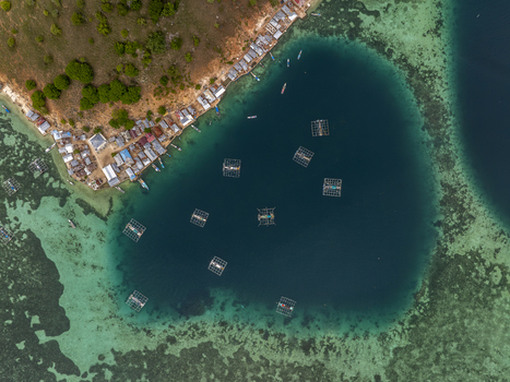 Aerial view of Pulau Kukusan featuring a coastal village with houses along the shore floating fish farms in the deep blue bay and coral reefs Komodo East Nusa Tenggara Indonesia. Aerial view of Pulau Kukusan featuring a coastal village with houses along the shore floating fish farms in the deep blue bay and coral reefs Komodo East Nusa Tenggara Indonesia.