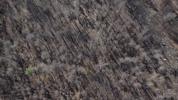 Aerial view of road and burned forest Portugal.