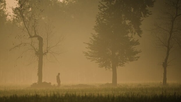 View of a person walking through a foggy field at dawn Bangladesh.