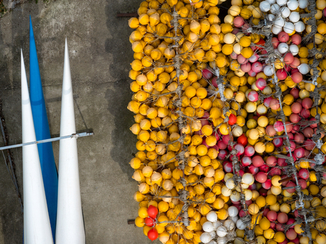 Aerial view of a large collection of colorful yellow white and red buoys arranged on a concrete surface alongside long pointed white and blue structures in Belgrade City of Belgrade Serbia. Aerial view of a large collection of colorful yellow white and red buoys arranged on a concrete surface alongside long pointed white and blue structures in Belgrade City of Belgrade Serbia.