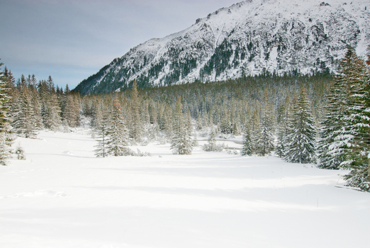 View of the snow covered valley near Morskie Oko with dense pine forests and rugged mountain peaks in Tatra County Lesser Poland Poland. View of the snow covered valley near Morskie Oko with dense pine forests and rugged mountain peaks in Tatra County Lesser Poland Poland.