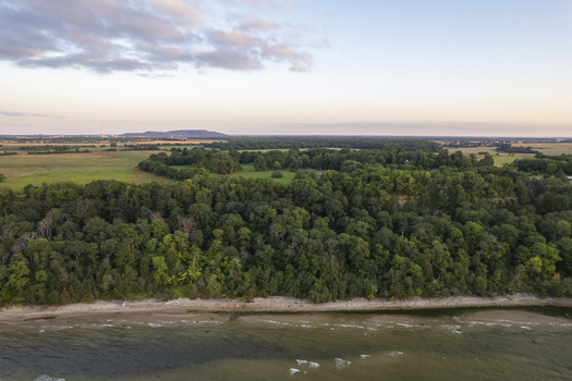 Aerial view of the coastal cliffs in Ontika featuring dense green forests meeting the sandy shoreline under a soft sunset sky in Ontika Ida Viru County Estonia.