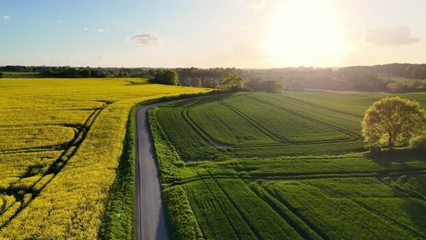 Aerial view of Freienwillen manor and rapeseed fields Germany.