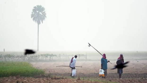 View of farmers walking through a misty field in Bogura Bangladesh.