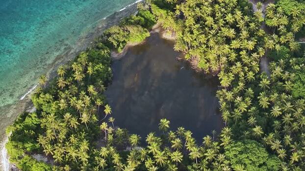 Aerial view of a heart shaped lake surrounded by palm trees Maldives. Aerial view of a heart shaped lake surrounded by palm trees Maldives.