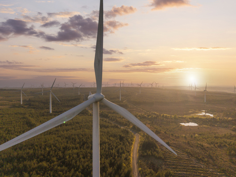 Aerial view of wind turbines at Whitelee Wind Farm on Eaglesham Moor during a golden sunset over the forested landscape Kilmarnock Scotland United Kingdom.