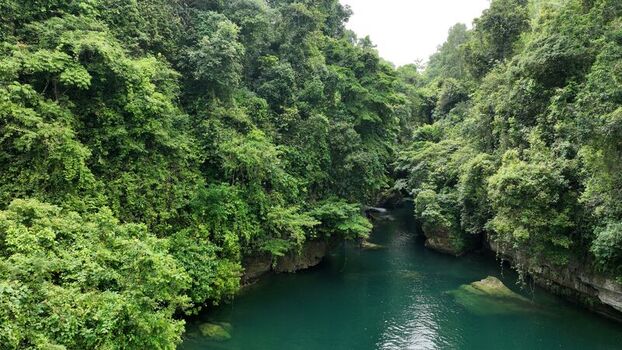Aerial view of a river flowing through a dense tropical forest with lush green canopy and rocky banks in Pangandaran Regency West Java Indonesia. Aerial view of a river flowing through a dense tropical forest with lush green canopy and rocky banks in Pangandaran Regency West Java Indonesia.