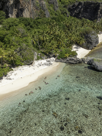 Aerial view of Playa Fronton with people swimming in clear turquoise water white sand beach and lush palm trees at the base of rocky cliffs in Samana Samana Dominican Republic. Aerial view of Playa Fronton with people swimming in clear turquoise water white sand beach and lush palm trees at the base of rocky cliffs in Samana Samana Dominican Republic.