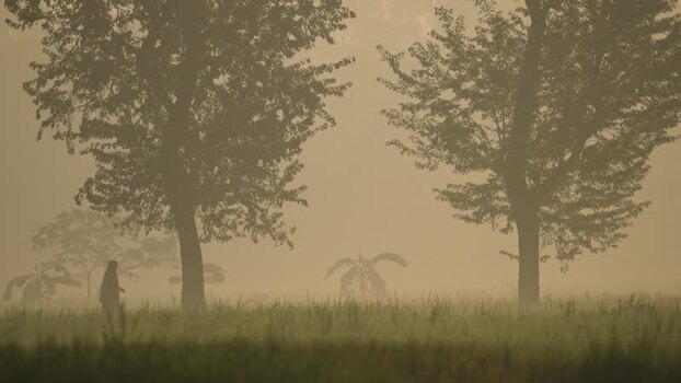 View of a person walking through a misty field Bangladesh. View of a person walking through a misty field Bangladesh.