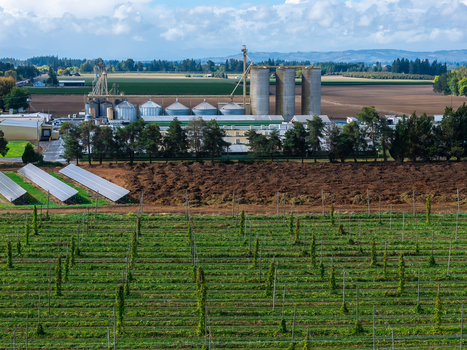 Aerial view of an egg farm with large silos agricultural buildings solar panels and rows of crops in a rural landscape in Woodburn Oregon United States. Aerial view of an egg farm with large silos agricultural buildings solar panels and rows of crops in a rural landscape in Woodburn Oregon United States.