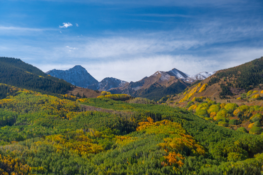 View of Capitol Peak and the Elk Range surrounded by vibrant autumn aspen forests with yellow and green foliage under a clear blue sky in Pitkin County Colorado United States. View of Capitol Peak and the Elk Range surrounded by vibrant autumn aspen forests with yellow and green foliage under a clear blue sky in Pitkin County Colorado United States.