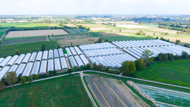 Aerial view of an organic farm greenhouse complex with rows of white plastic tunnels surrounded by agricultural fields and green meadows in Milan Lombardy Italy.