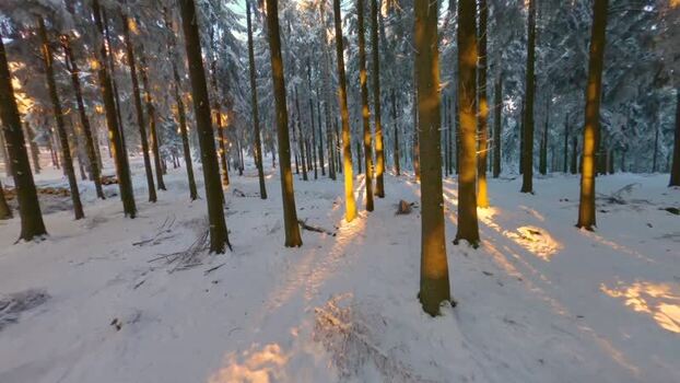FPV aerial view of snow covered forest in Germany.