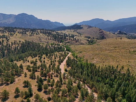 Aerial view of the winding road through the pine forests and mountainous landscape of Walker Ranch in Boulder Colorado United States.