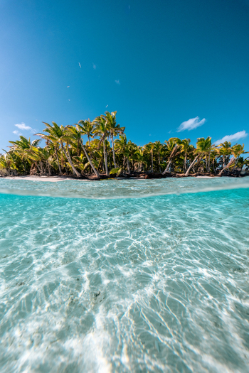 View of Aitutaki with lush palm trees on a tropical beach and crystal clear turquoise water in the Cook Islands. View of Aitutaki with lush palm trees on a tropical beach and crystal clear turquoise water in the Cook Islands.