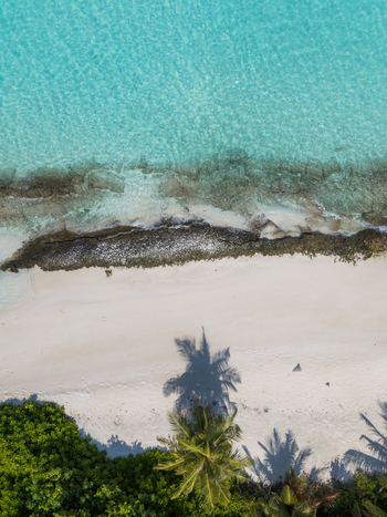 Aerial view of turquoise waters meeting the pristine white sands where palm trees cast shadows Vashafaru Island Thiladhummathi Atoll Maldives.