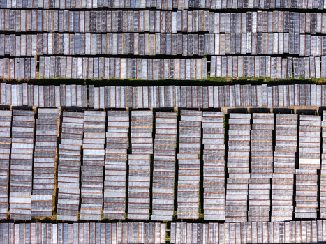 Aerial view of glass noodles on wooden drying racks in a grid pattern in Polanharjo Central Java Indonesia.