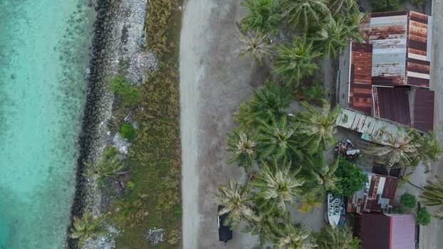 Aerial view of palms and buildings Maldives. Aerial view of palms and buildings Maldives.