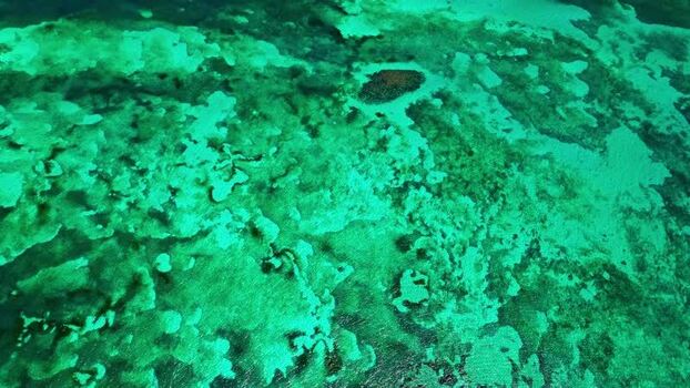 Aerial view of coral reefs in turquoise water Honduras. Aerial view of coral reefs in turquoise water Honduras.