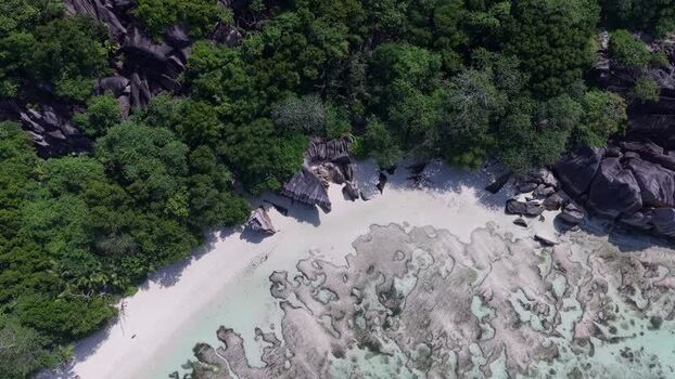 Aerial view of Anse Reunion beach and coral reef Seychelles.